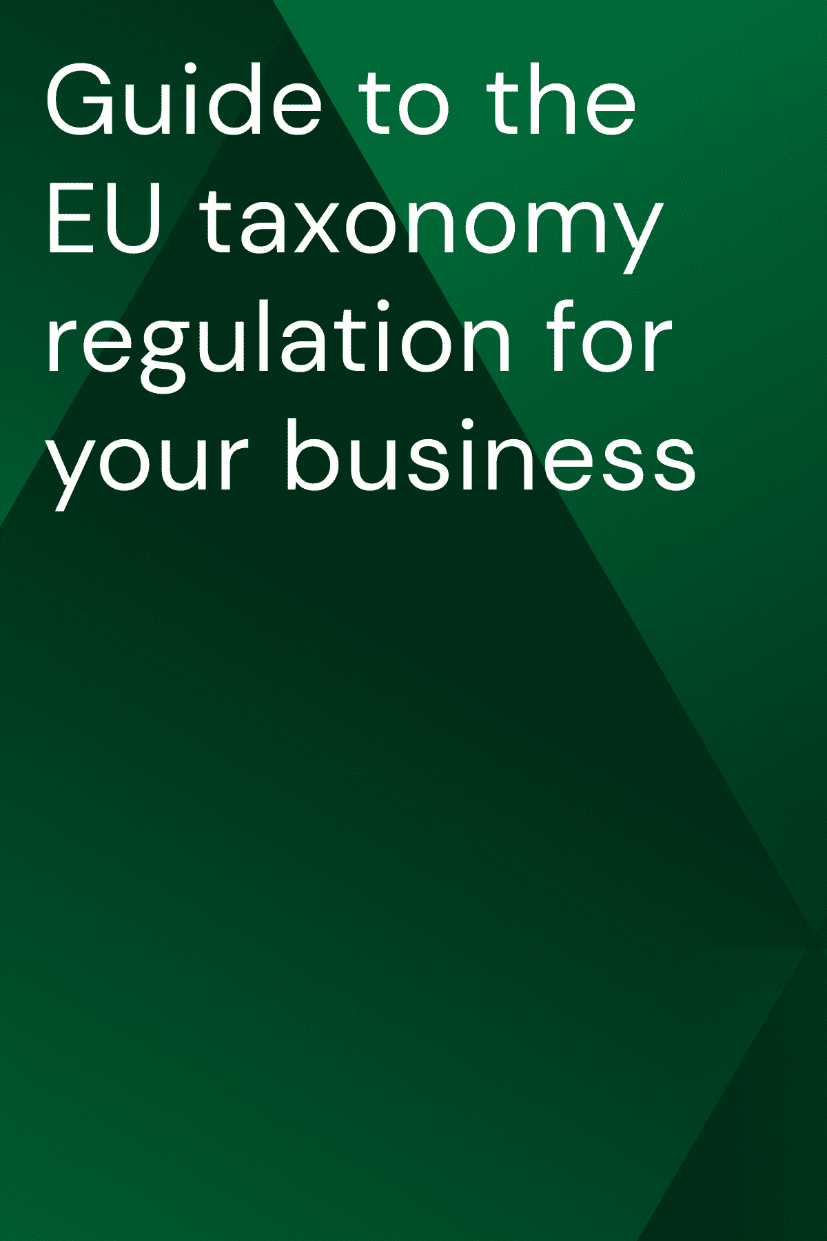 The EU Taxonomy Regulation a guide for companies